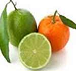 Basil Lime & Mandarin Fragrance Oil -Premium Grade
