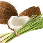 Coconut & Lemongrass Fragrance Oil - Premium Grade