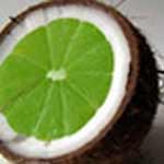 Coconut Lime Fragrance Oil - Premium Grade